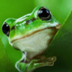 Meet your Posher, Audrey